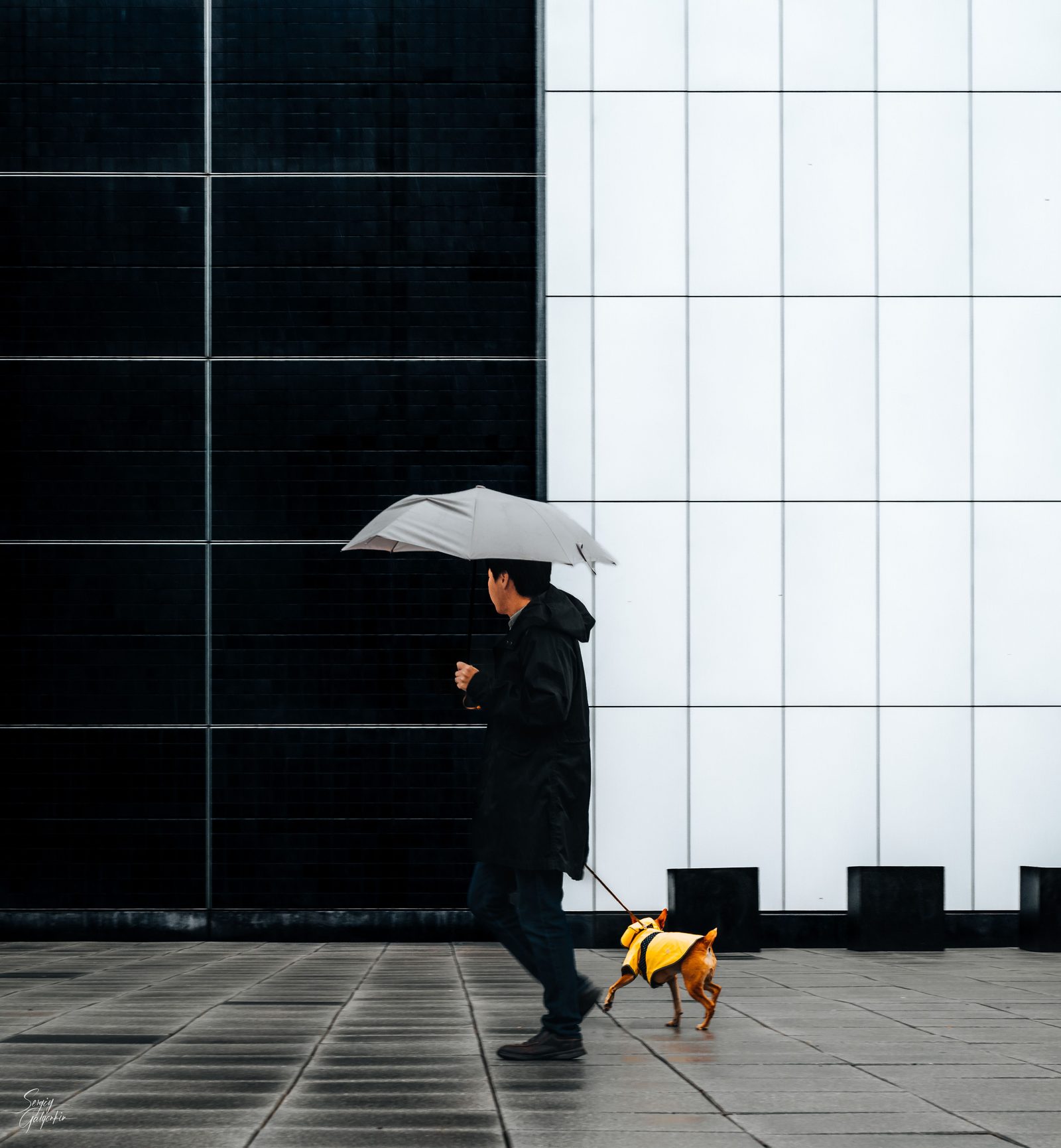 Persona paseando a su perro con correa por la calle